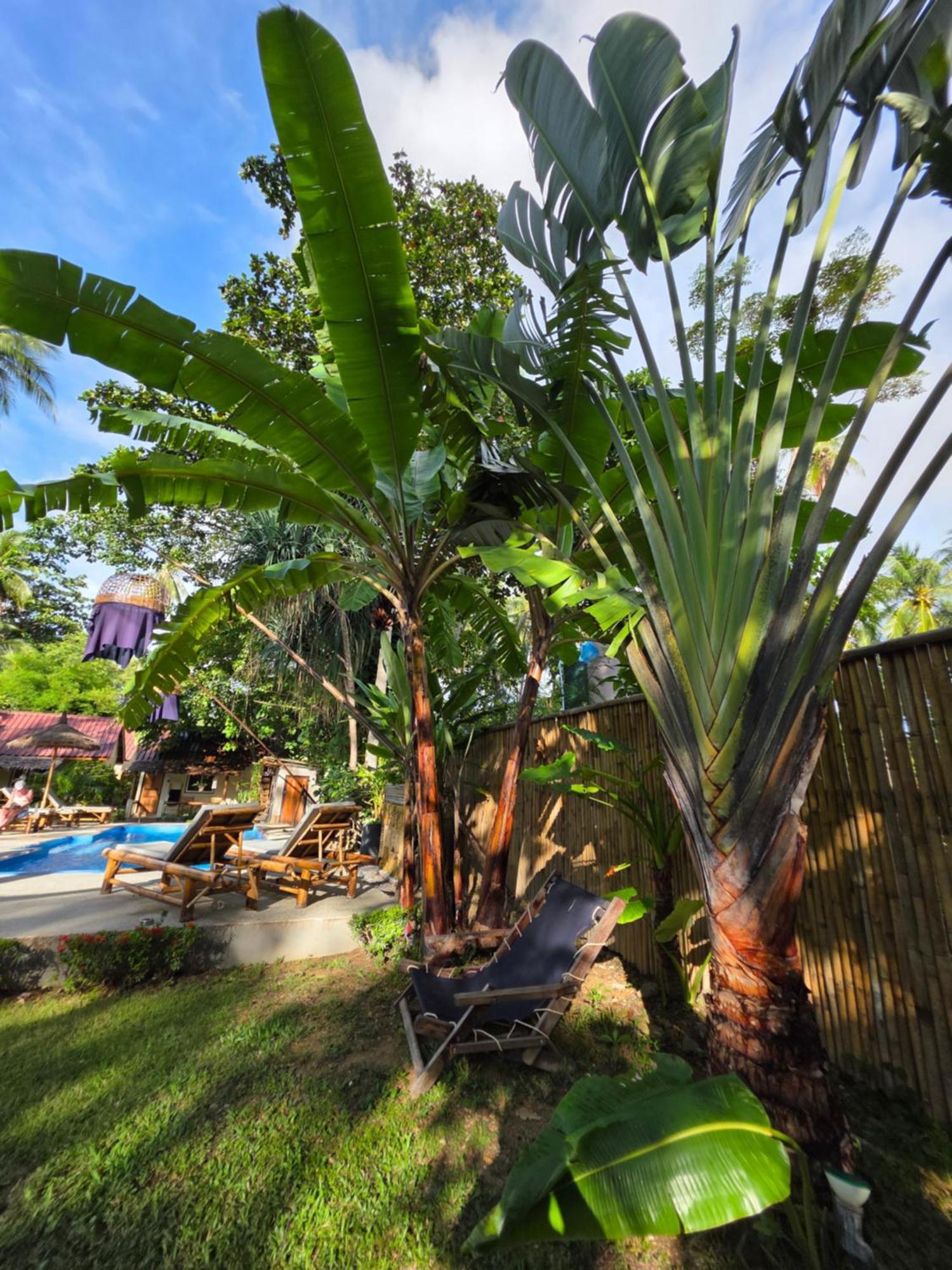 The Mellow Mango Koh Lanta Ngoại thất bức ảnh